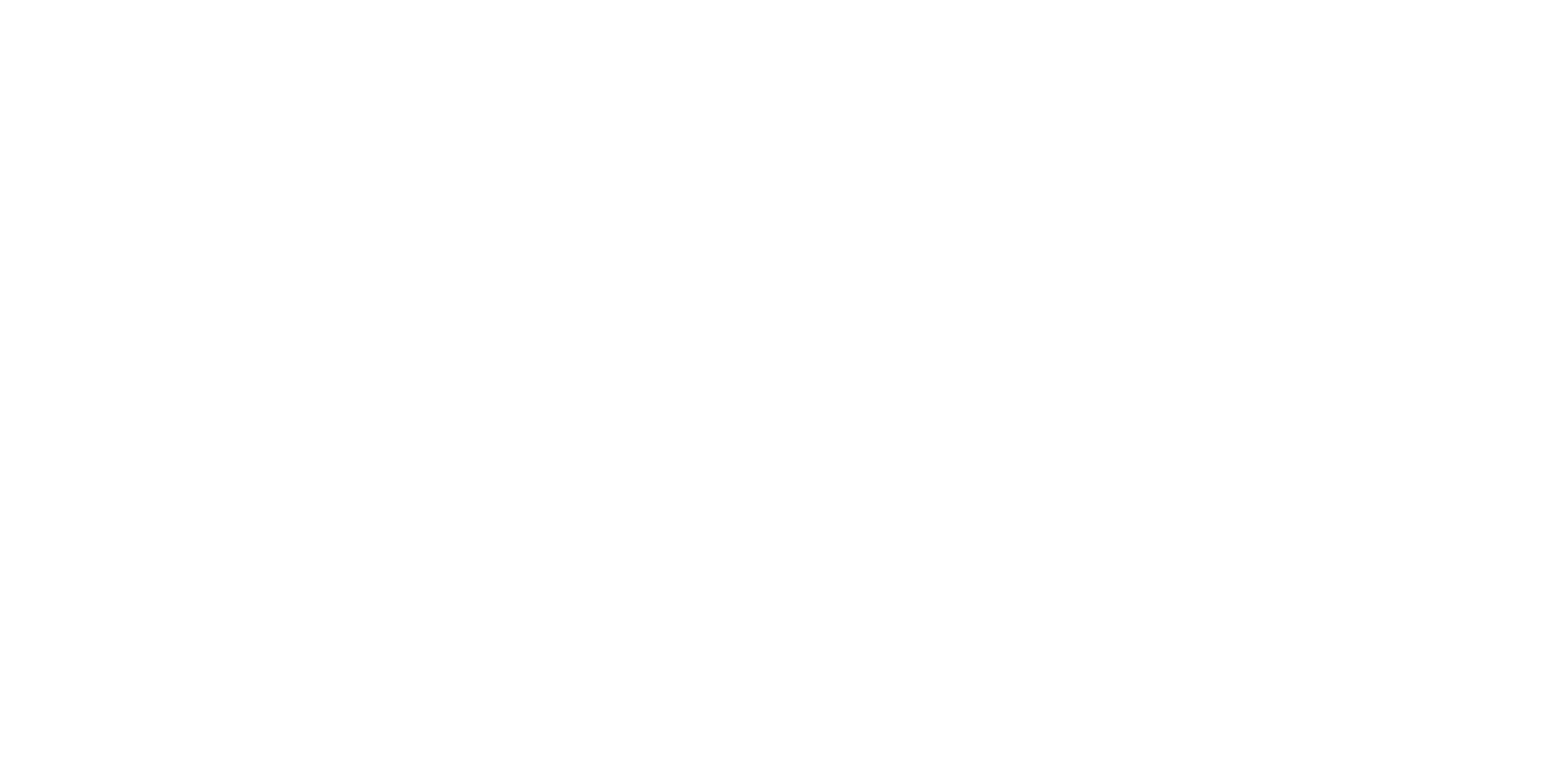 Sellmer Solutions GmbH – Inkasso und Forderungsmanagement